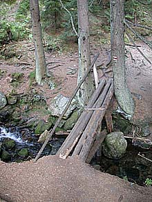 Wanderbrücke über einen Wildbach. _ Foto: Peter Gollnik